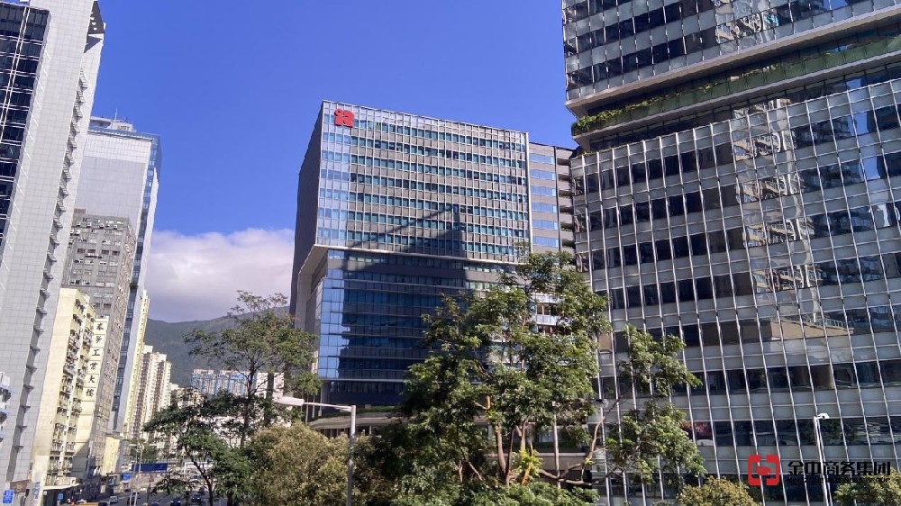 香港公司審計中的審計意見代表什么？